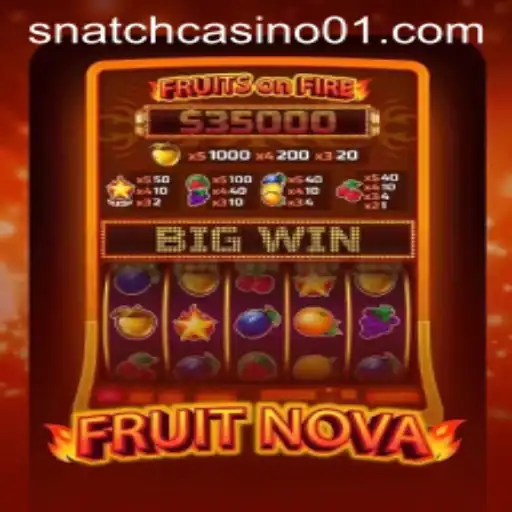 Discovering the Exciting World of FruitNova: A Game of Strategy and Fun